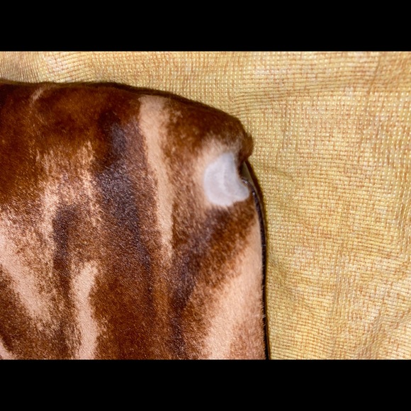 Meet your Posher, Adriana - Picture 5 of 8